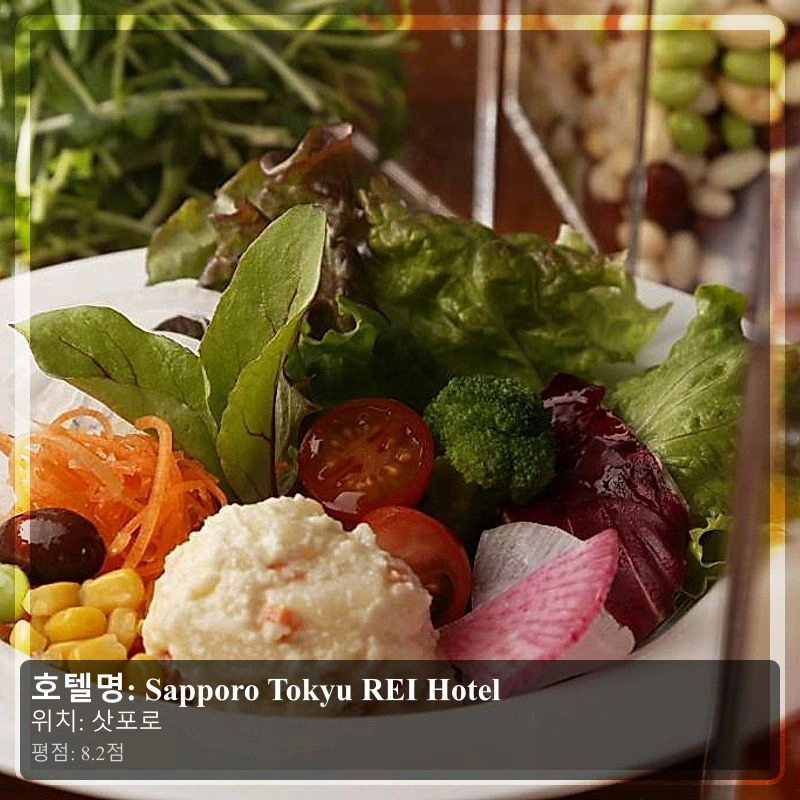 Sapporo Tokyu REI Hotel_4