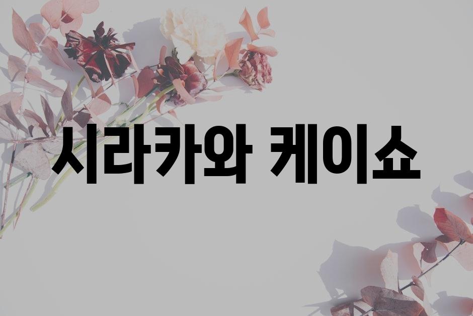 샘플 (62)