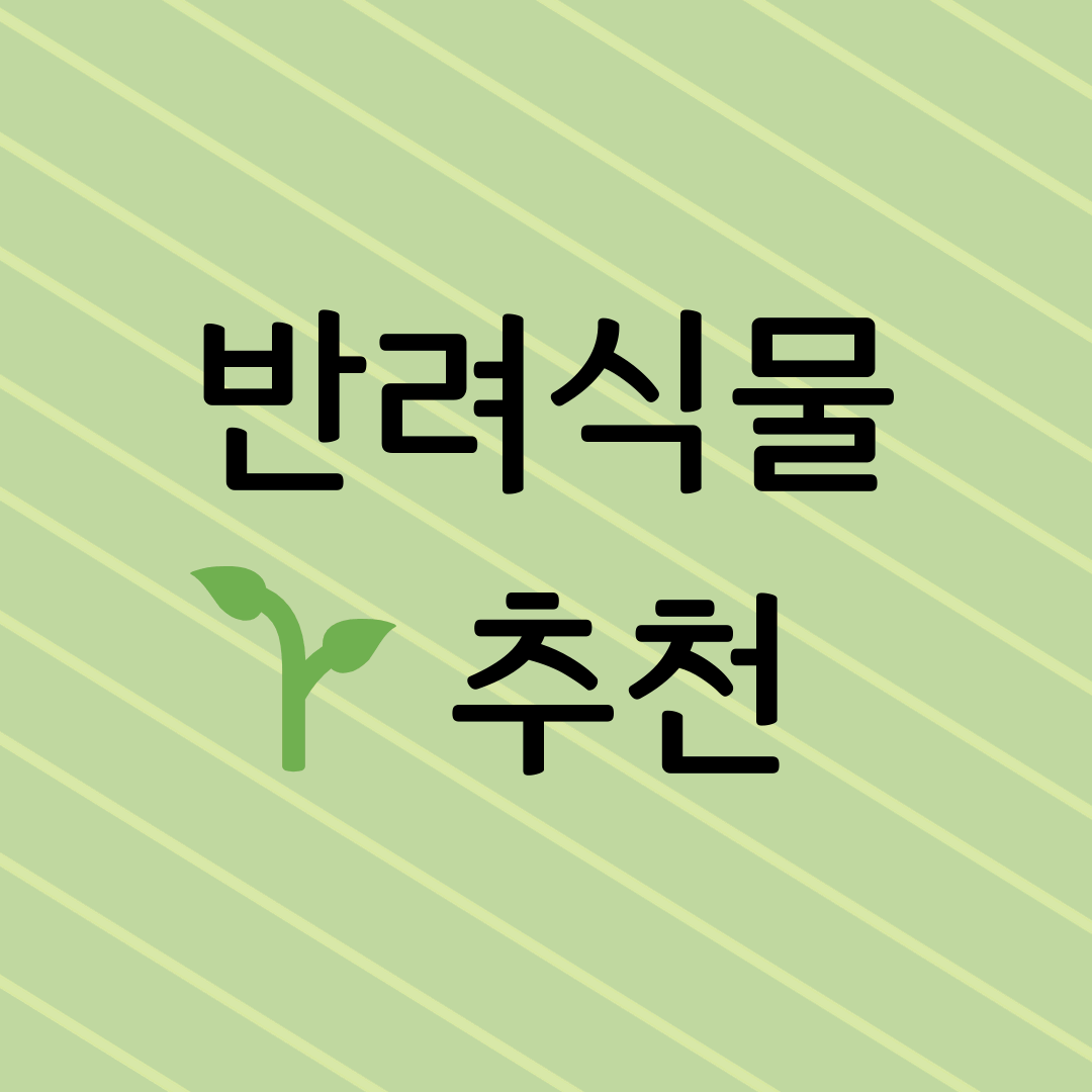 반려식물 추천