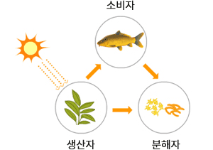 생산자 소비자 분해자