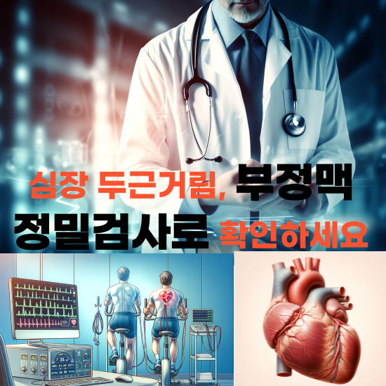 부정맥-정밀검사