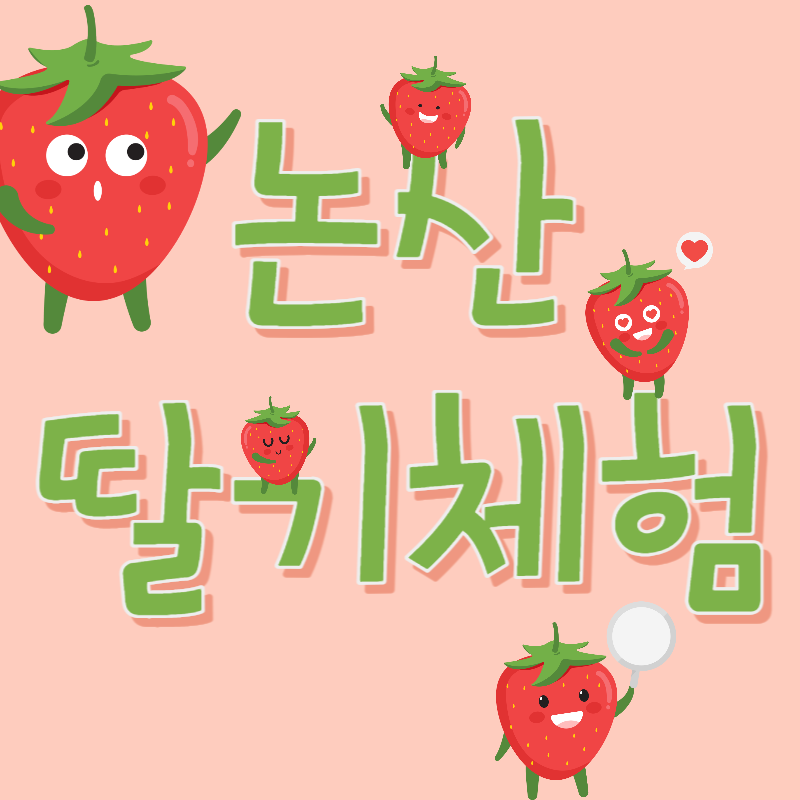 논산 딸기체험