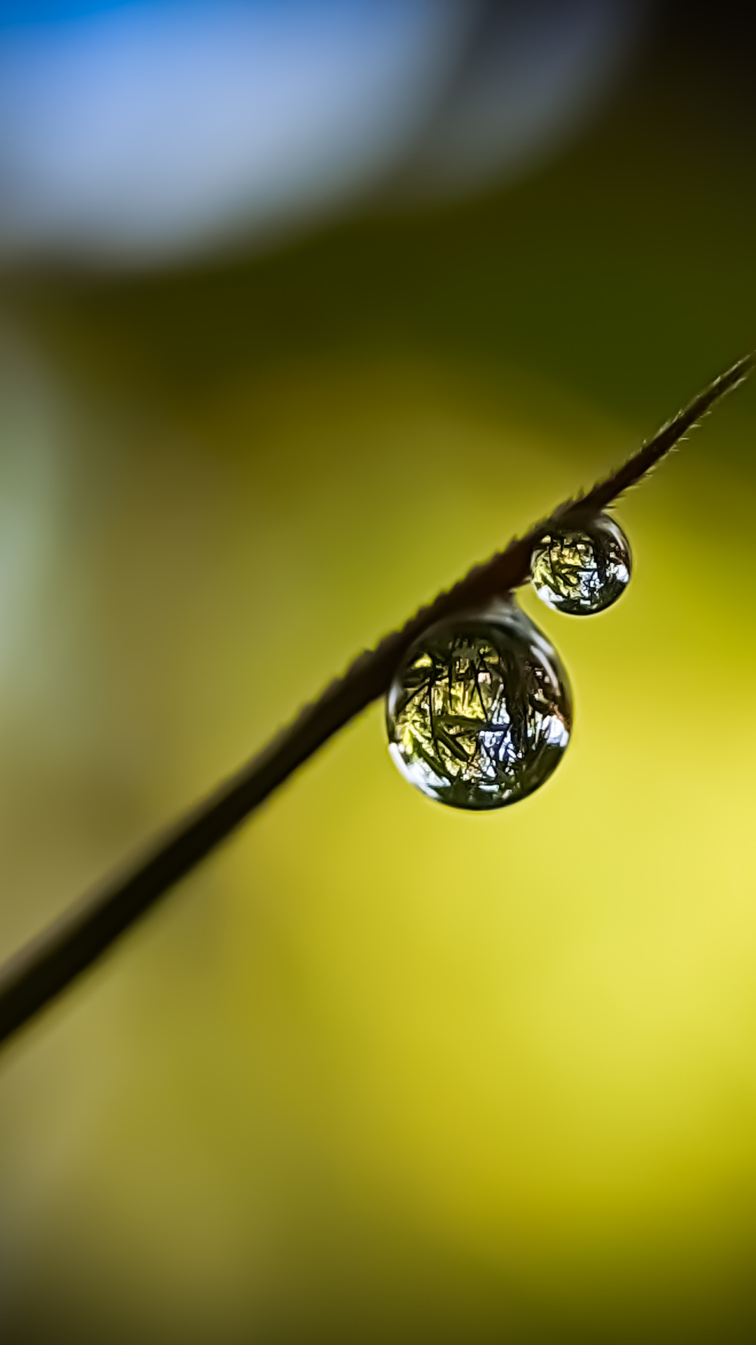 빗방울 배경화면 스마트폰 이미지 사진 그림 모음집