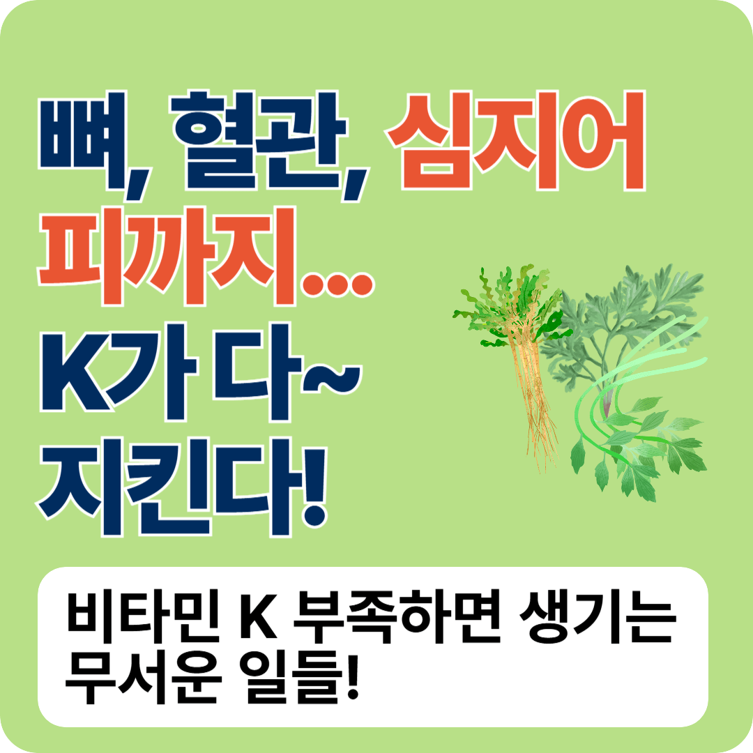 뼈, 혈관, 심지어 피까지… K가 다 지킨다! 비타민 K, 몰랐다간 후회하는 이유! 내 몸을 살리는 건강 비밀