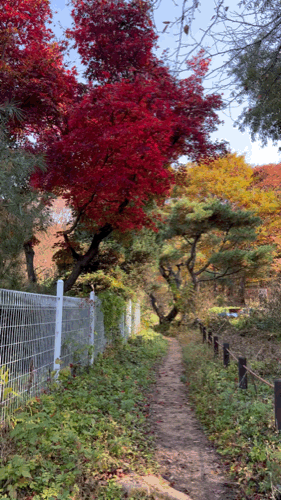 북한산 단풍보러가기