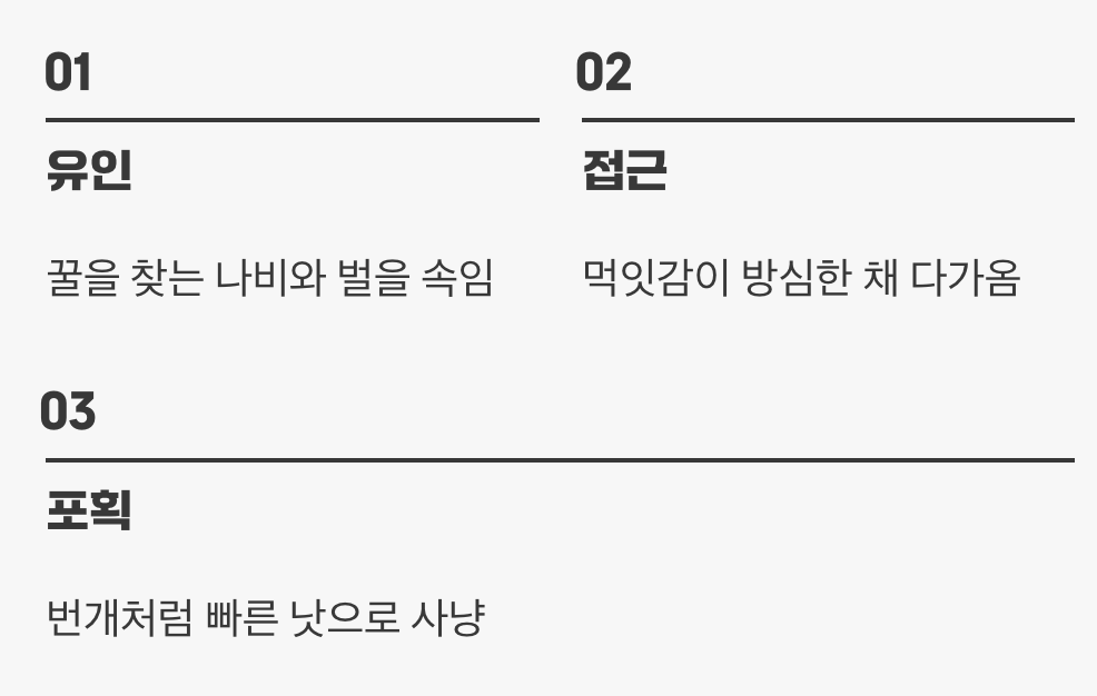 가장 아름다운, 가장 치명적인 함정