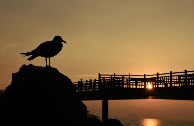 화성 궁평항 일몰