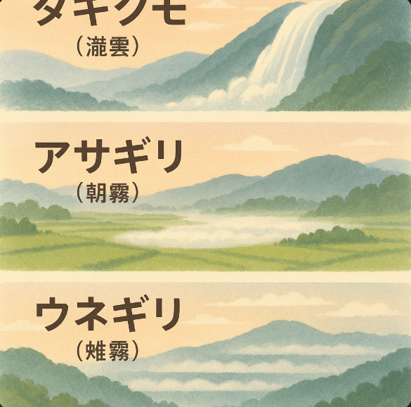 타키쿠모와 유사한 기상 현상 비교