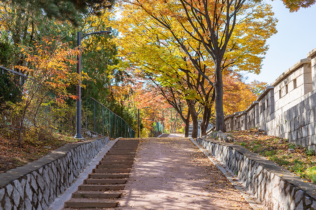 혜화문
성북동
한양도성길
백악구간
서울여행
서울단풍
가을단풍
단풍