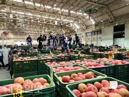 농협 공판장 인터넷 통합거래시스템 바로가기