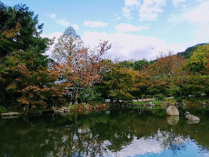 교토 여행 추천 교토 마루야마 공원