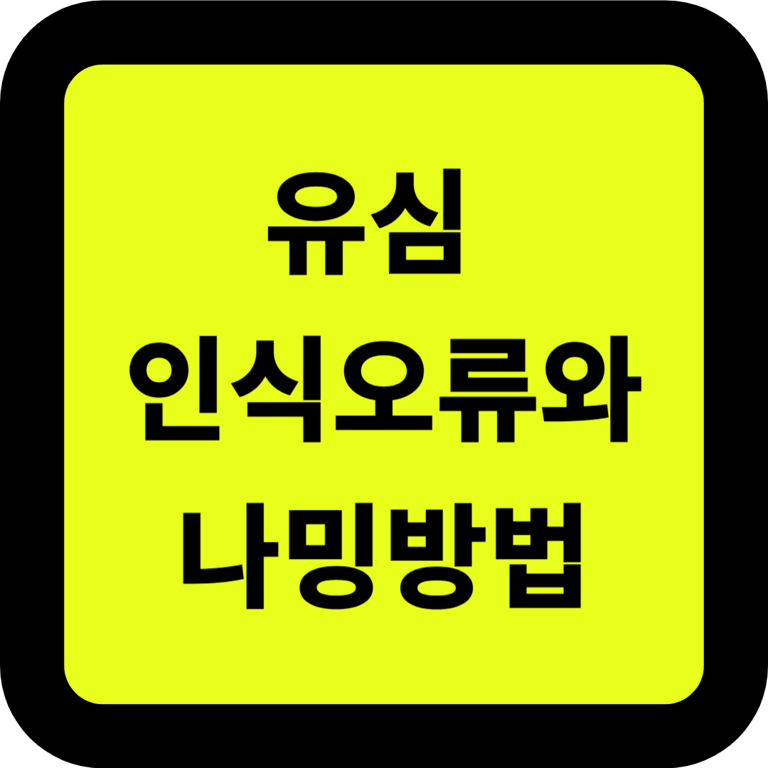 유심 인식 오류와 나밍(Naming) 방법