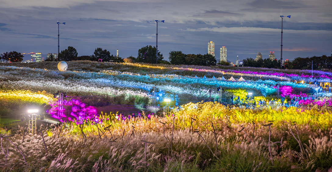하늘공원 억세축제