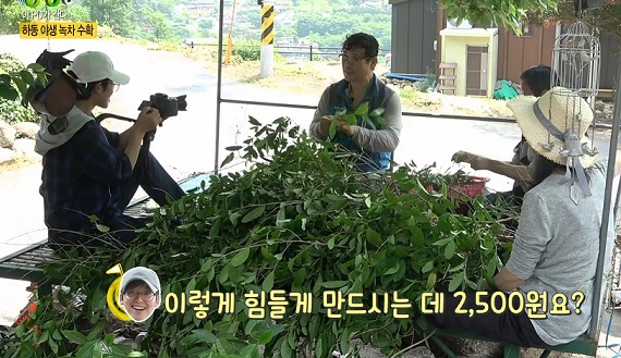 한국기행-혀끝바캉스-하동-녹차-냉면