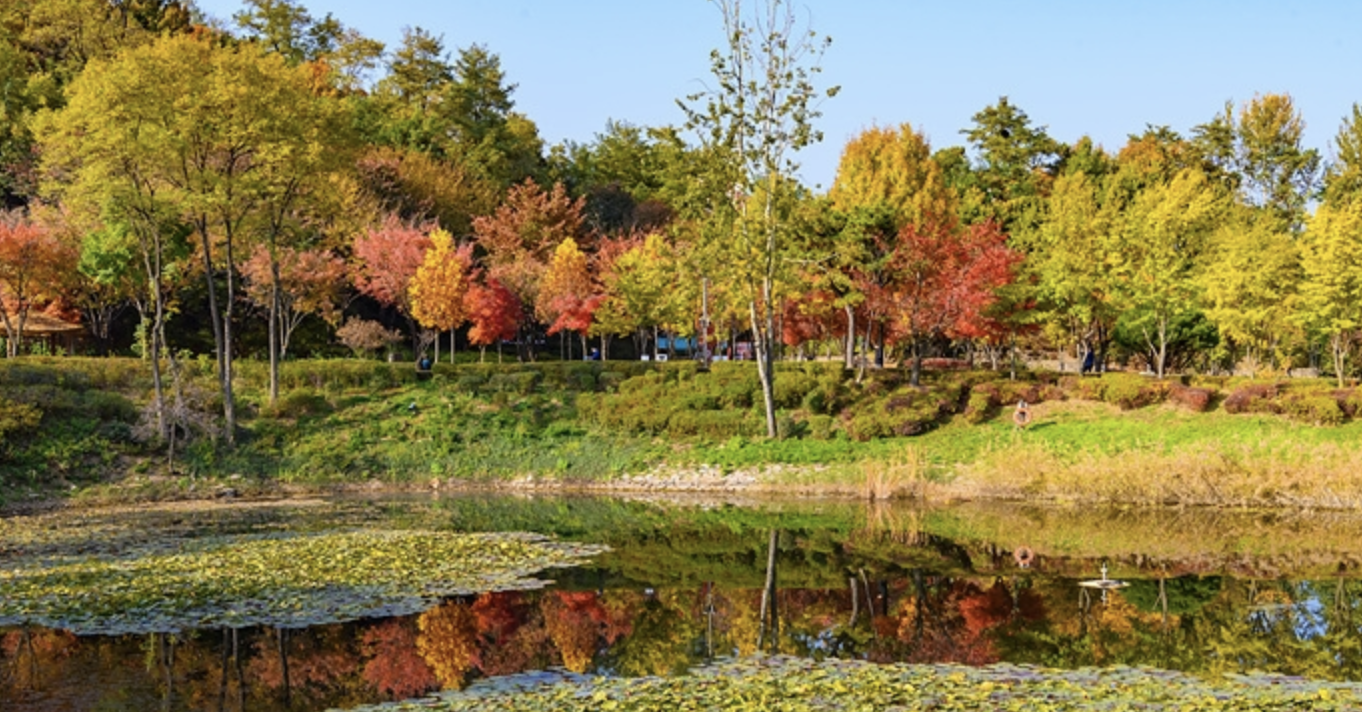 서울 단풍명소 BEST 07 데이트 코스 가족 나들이