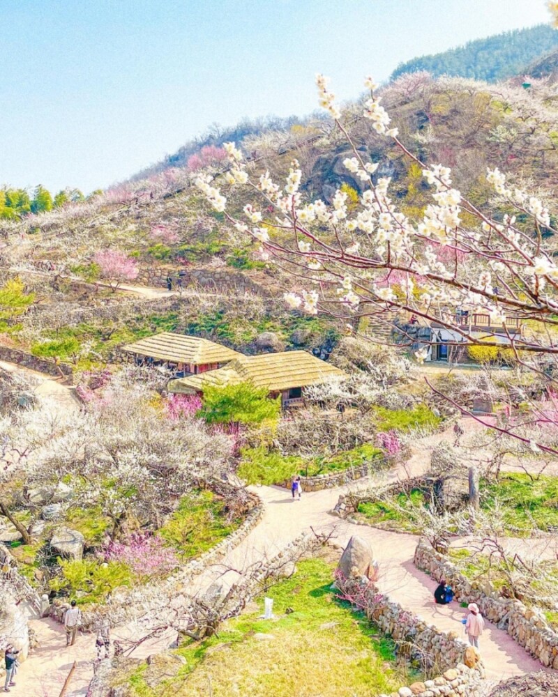 3월 여행하기 좋은 곳