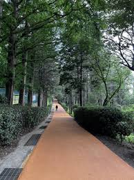 부산 해안 런닝코스