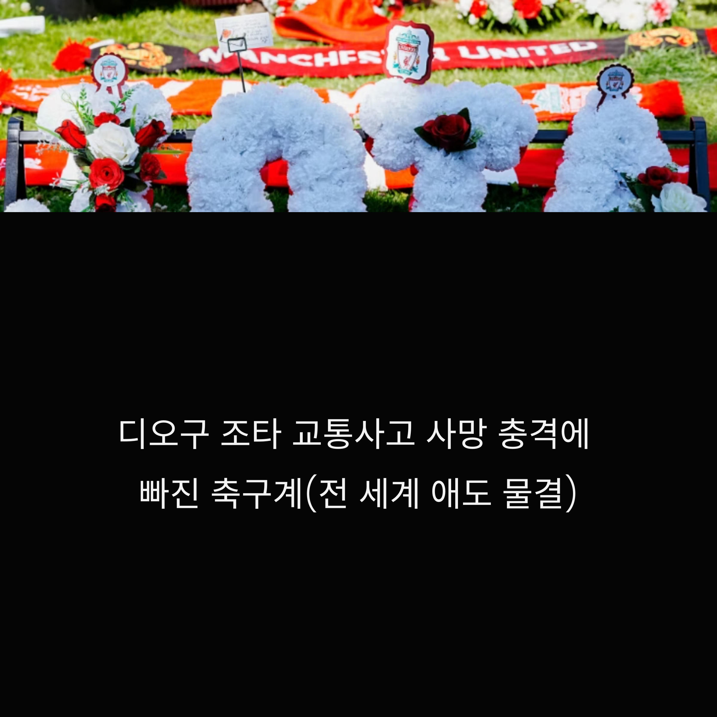 디오구 조타 교통사고 사망, 축구계 충격과 전 세계 애도 물결