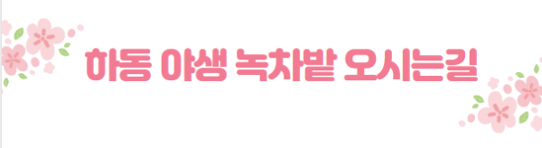 봄꽃 여행지