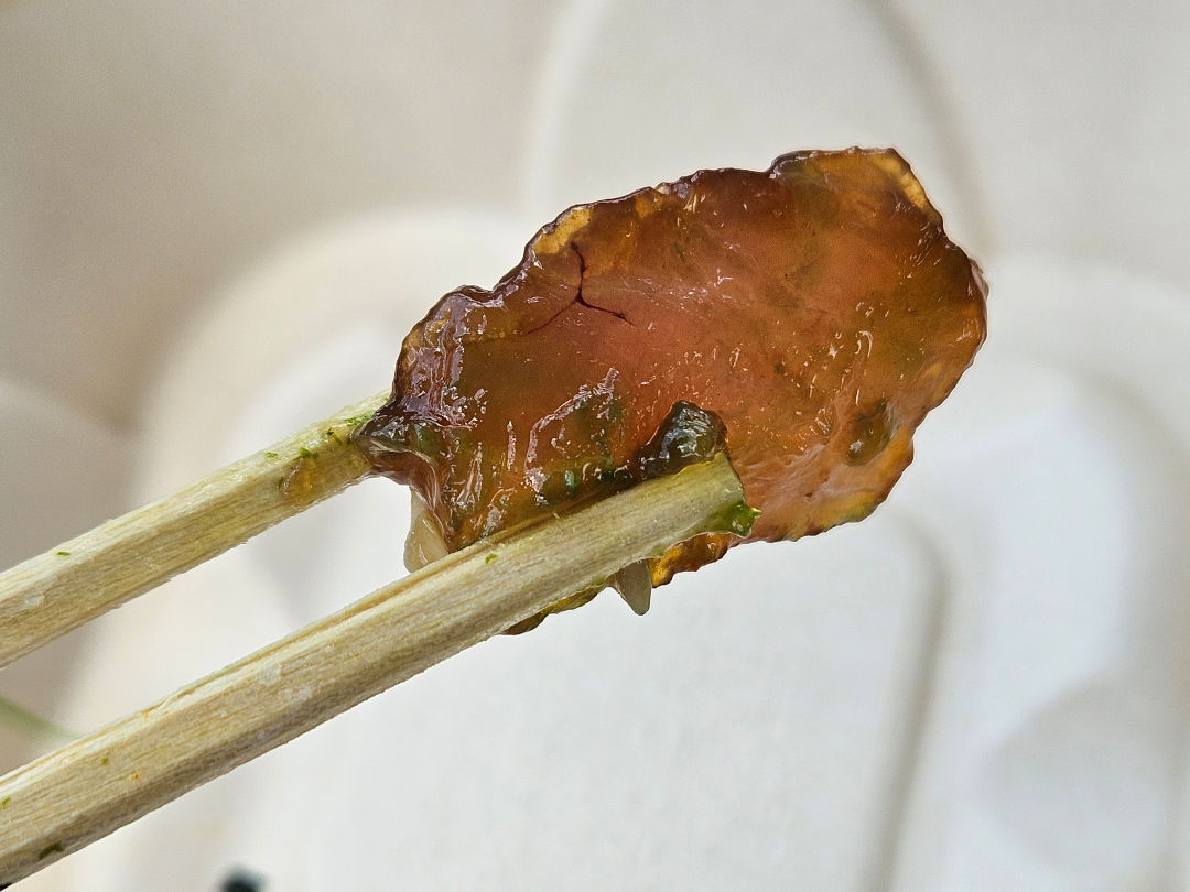 하와이 코나 다 포케 쉑 poke