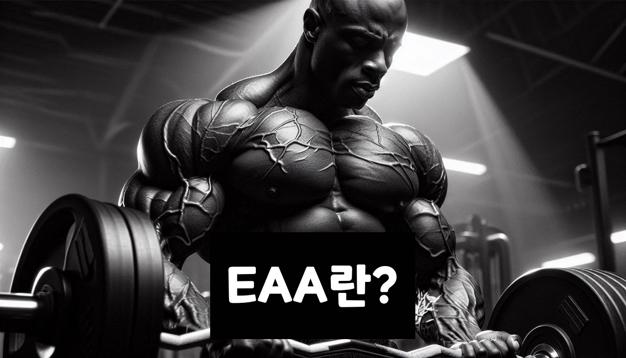 EAA 필수 아미노산이 운동 능력 향상에 미치는 영향 - undefined - EAA의 미래 전망과 연구 동향 EAA 필수 아미노산이 운동 능력 향상에 미치는 영향 - undefined - EAA의 미래 전망과 연구 동향