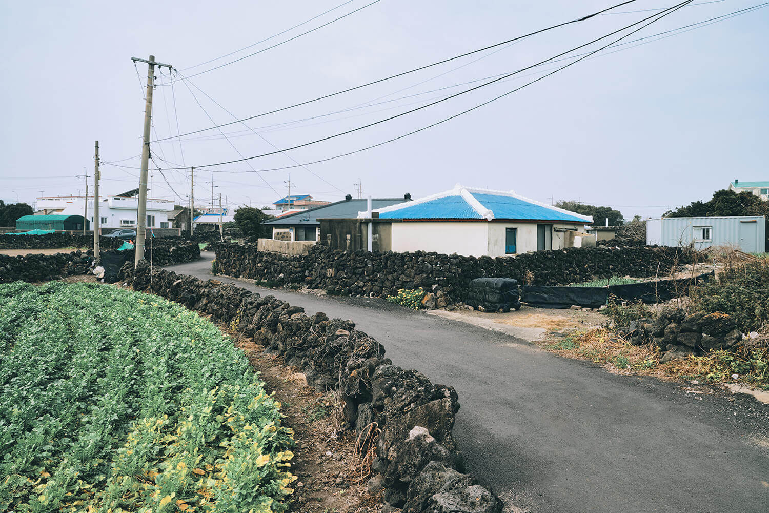 올레길 20코스&amp;#44; 해안 절경과 함께 비 속에서 즐기는 여유🌧️