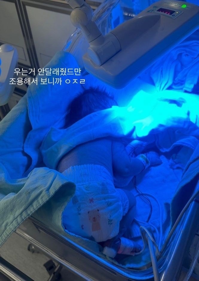 대구가톨릭병원 간호사 미숙아 학대 정황 : 병원명·가해자 정보·SNS 게시글 정리