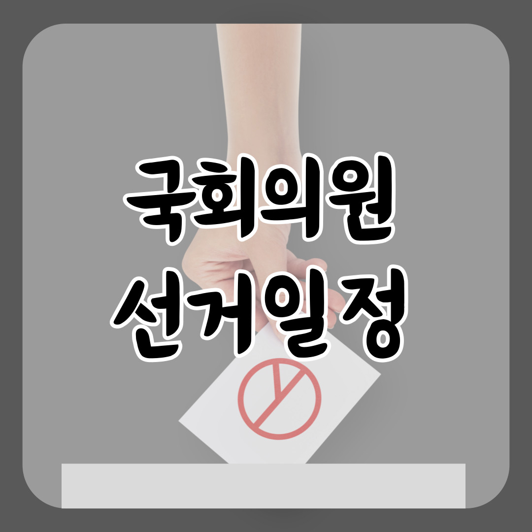 국회의원선거일정-썸네일