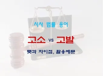 고소 고발 뜻 차이 용법_12