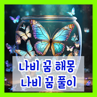 나비 꿈 해몽 나비 꿈 풀이 나비꿈