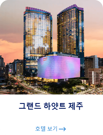 서울 하얏트 호텔 예약