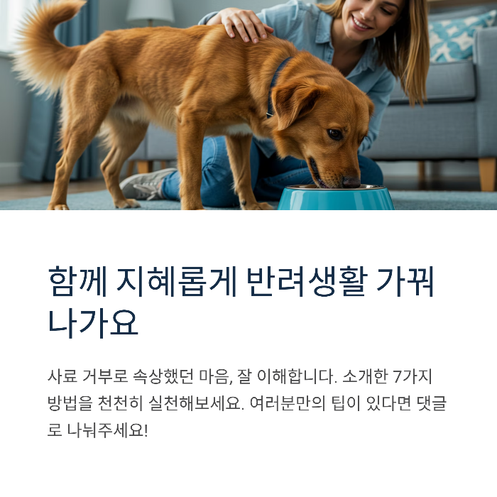 강아지 사료 안먹을 때