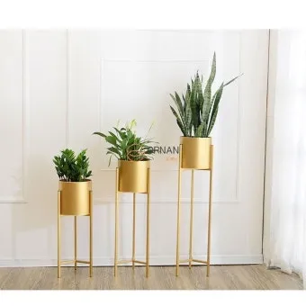 북유럽풍 인테리어 식물배치 톤맞추기 화분색감 관리 감성업_5