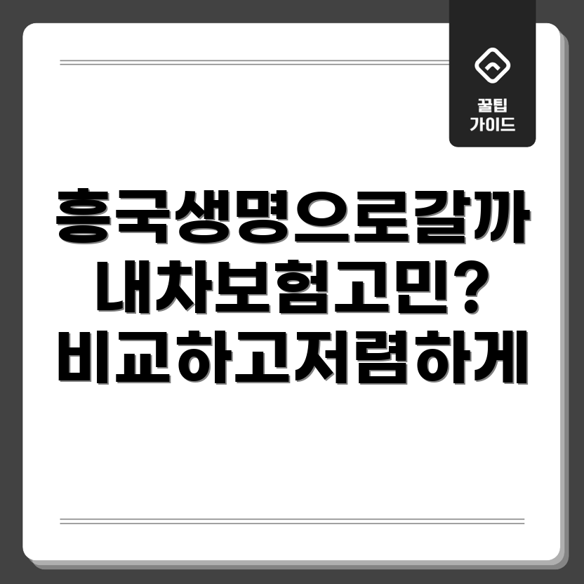 흥국생명 자동차 보험