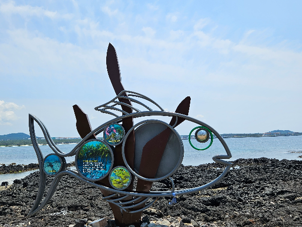 비양도 해변가에 있는 디자인 물