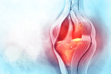 유유제약 콘드로이친 가격, 후기, 효과, 추천