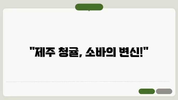 제주 청귤소바