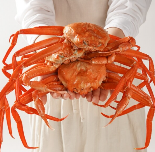 홍게 제철 시기 언제 홍게찜 찌는법 손질 먹는 방법 금어기 기간 총정리 1