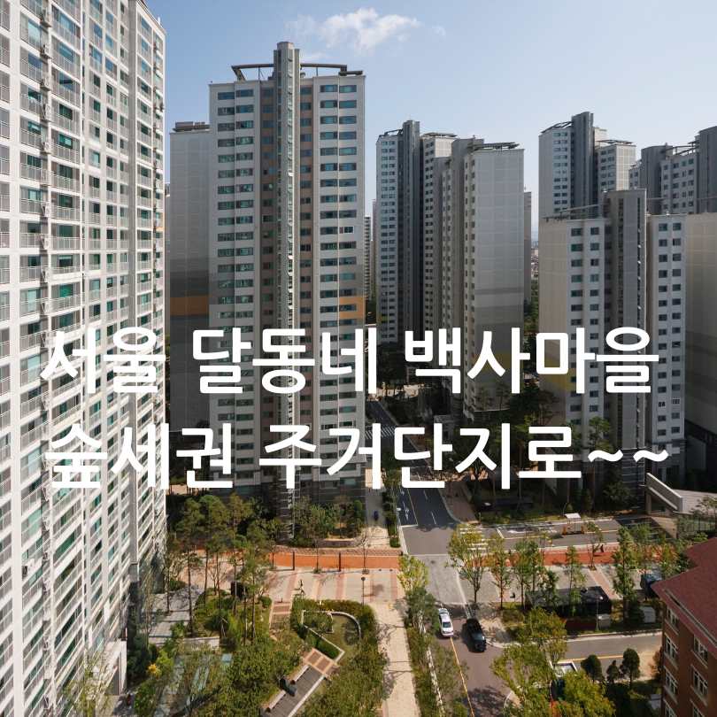 서울 백사마을 재개발