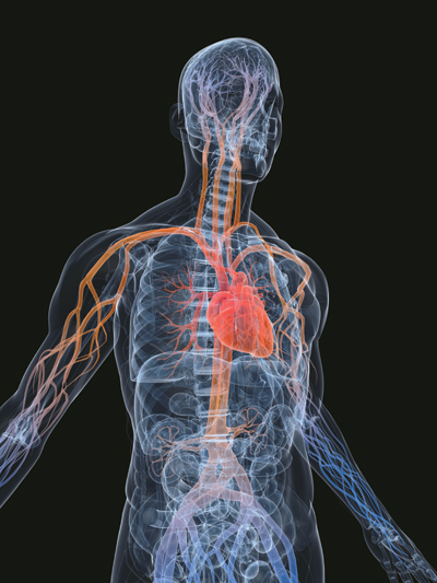 심근경색 전조증상