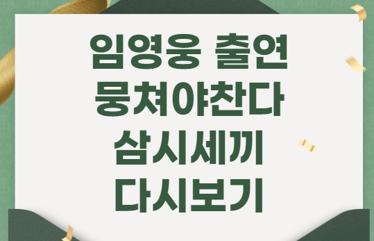 임영웅 출연예능