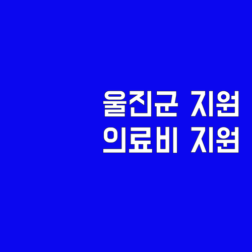 2025 울진군 기초진료비 지원: 6..