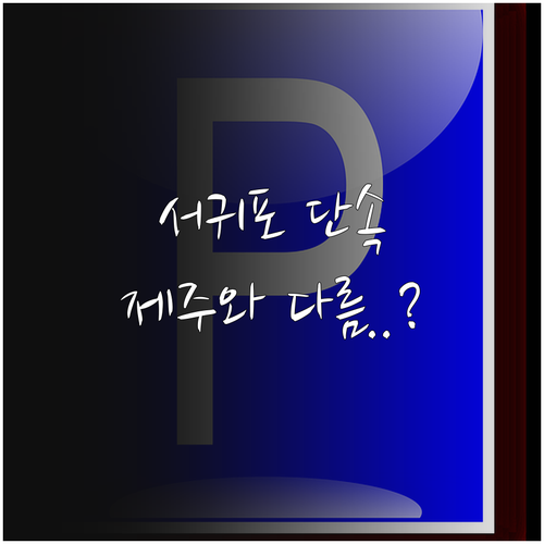 서귀포시 주정차 단속 알림 서비스 유..