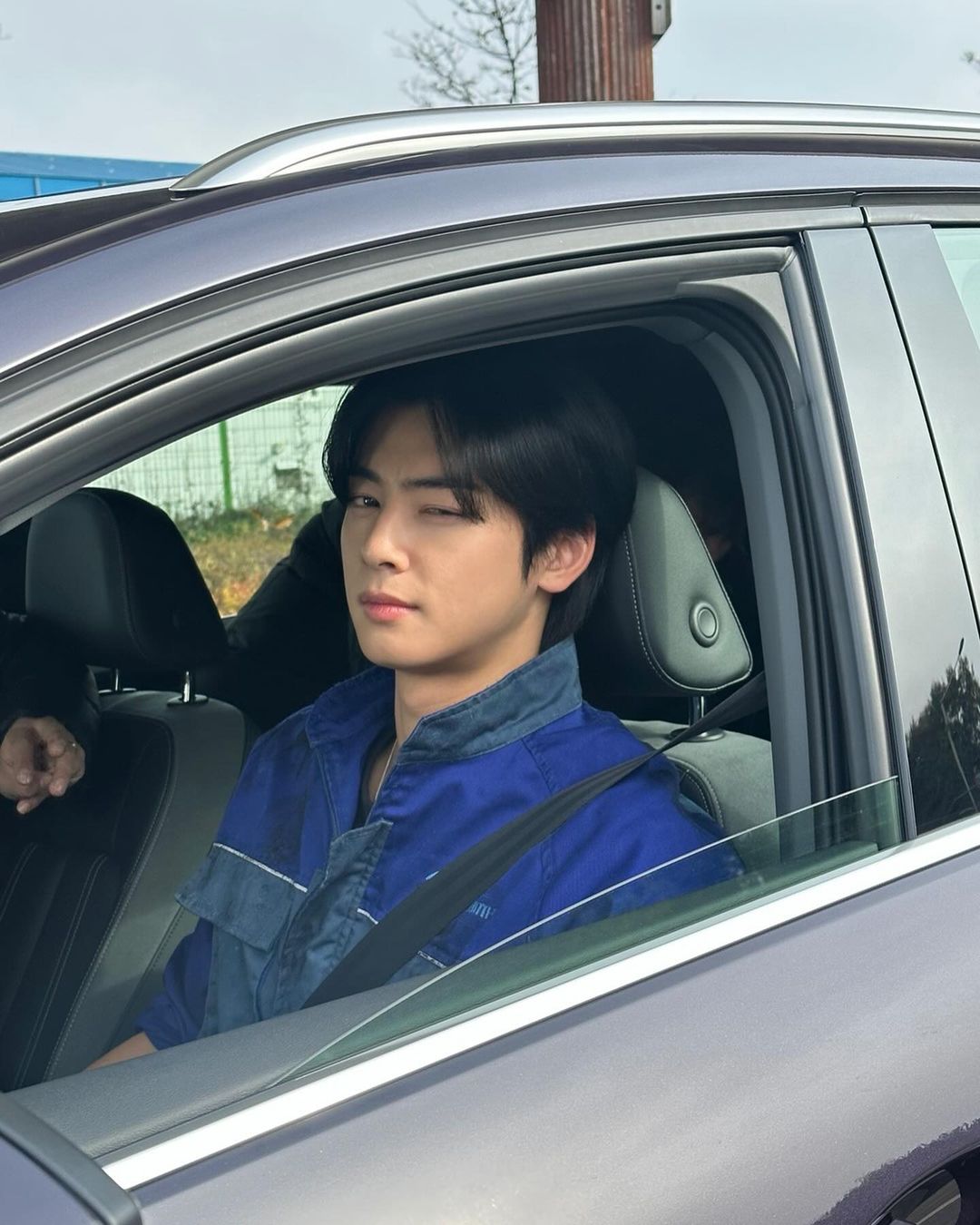 차은우
