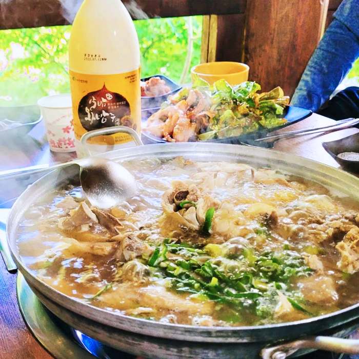 생생정보 은평구 북한산 닭백숙 닭도리탕 맛집