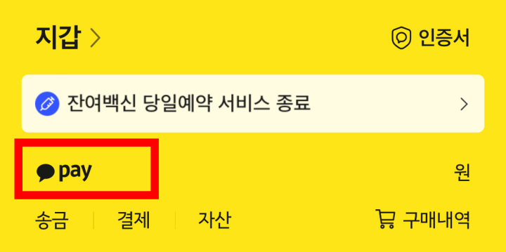 카카오페이