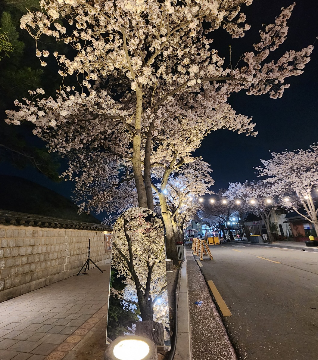 경주-대릉원-돌담길