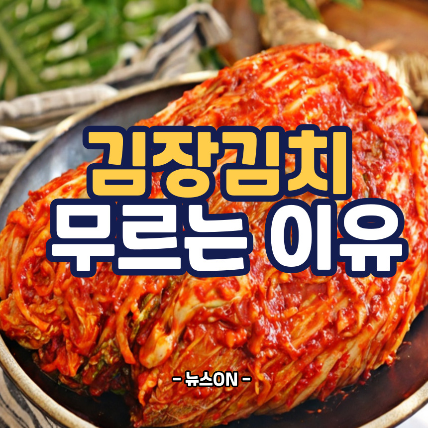 김장김치 무르는 이유