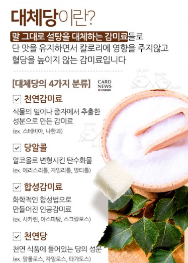 대체당 설명 및 요약