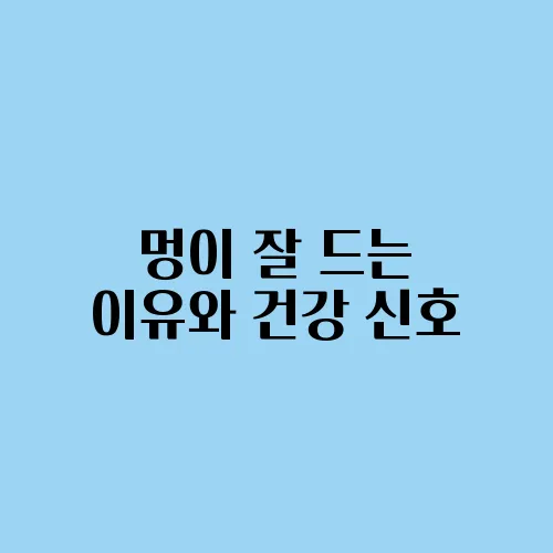 멍이 잘 드는 이유와 건강 신호